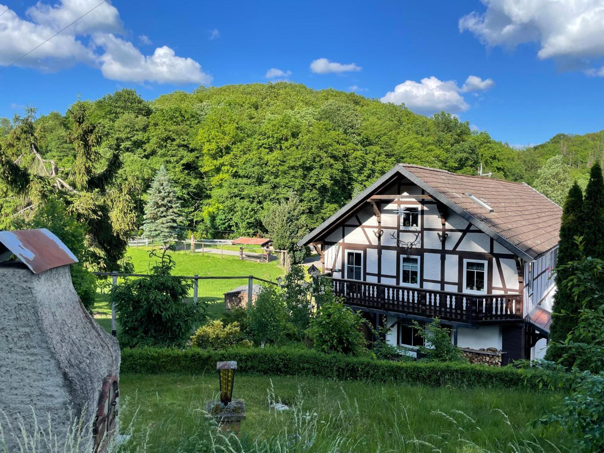 Holla Die Waldfee Konigerode Kültér fotó